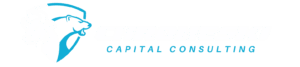 chromeskicapitalconsulting.com